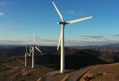 Πυρόπληκτος Έβρος, πράσινα σχέδια: H αιολική πίεση στα καμένα / Τα πράσινα σχέδια στον πυρόπληκτο Έβρο