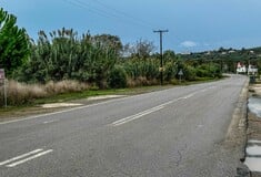 ΦΟΙΝΙΚΟΥΝΤΑ ΔΟΛΟΦΟΝΙΑ ΚΑΜΠΙΝΓΚ