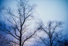 ΚΑΙΡΟΣ ΣΗΜΕΡΑ ΚΡΥΟ