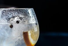 ΤΖΙΝ ΑΛΚΟΟΛ ΠΟΤΟ