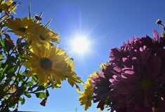 Καιρός - Τσατραφύλλιας: Έρχεται θερμή εισβολή με σκόνη και υψηλές θερμοκρασίες