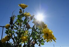 Καιρός: Ηλιοφάνεια και υψηλές θερμοκρασίες σε όλη τη χώρα σήμερα