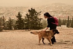 ΚΑΙΡΟΣ ΑΦΡΙΚΑΝΙΚΗ ΣΚΟΝΗ