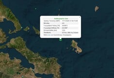 ΣΕΙΣΜΟΣ ΤΩΡΑ ΣΚΥΡΟΣ