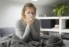 ΓΡΙΠΗ ΣΤΕΛΕΧΟΣ Κ