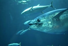 ΤΟΝΟΣ ΣΟΥΠΕΡ ΜΑΡΚΕΤ ΒΡΕΤΑΝΙΑ