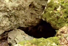 Εξαφάνιση Αμαλίας Νικολοπούλου: Η αποσύνθεση της σορού έγινε στη σπηλιά - Τα πρώτα ευρήματα των Αρχών