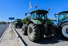 ΑΓΡΟΤΕΣ ΚΙΝΗΤΟΠΟΙΗΣΕΙΣ ΔΙΑΜΑΡΤΥΡΙΑ