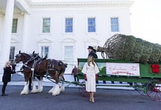 Η Μελάνια Τραμπ υποδέχθηκε το επίσημο χριστουγεννιάτικο δέντρο του Λευκού Οίκου