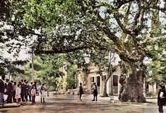 Eκδρομή στην Κηφισιά