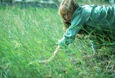 Τζένιφερ Λόρενς, Οικονομίδης και μεταφυσικό ρομάντζο από αύριο στους κινηματογράφους