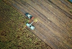 ΟΠΕΚΕΠΕ ΝΟΜΟΣΧΕΔΙΟ ΑΑΔΕ ΑΛΛΑΓΕΣ