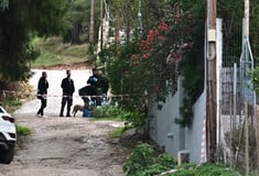 Δολοφονία στη Σαλαμίνα: «Φώναζε και φοβήθηκα ότι θα με αναγνωρίσει» - Τι ομολόγησε η νύφη της 75χρονης