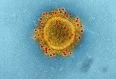 ΓΡΙΠΗ ΠΤΗΝΩΝ COVID