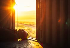 Τέχνη και πολιτική της λιποταξίας