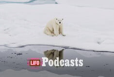 Περνάνε οι COP, αλλά οι πάγοι συνεχίζουν να λιώνουν