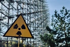 Τσέρνομπιλ Ραδιενέργεια Μύκητας