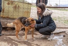 Συμμαχώντας για ένα καλύτερο μέλλον: 4 οργανισμοί που στηρίζει η Kaizen Gaming