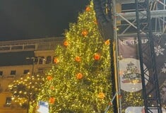 ΘΕΣΣΑΛΟΝΙΚΗ ΧΡΙΣΤΟΥΓΕΝΝΑ ΧΡΙΣΤΟΥΓΕΝΝΙΑΤΙΚΟ ΔΕΝΤΡΟ