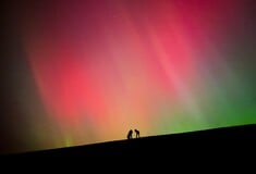 ΝΟΡΒΗΓΙΑ ΒΟΡΕΙΟ ΣΕΛΑΣ ΤΡΕΝΟ