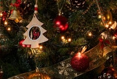 ΧΙΟΣ ΧΡΙΣΤΟΥΓΕΝΝΙΑΤΙΚΟ ΔΕΝΤΡΟ ΕΜΠΡΗΣΜΟΣ ΑΝΑΠΤΗΡΑΣ