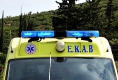 Ζάκυνθος: Νεκρό 18 μηνών βρέφος μετά από επίθεση σκύλου
