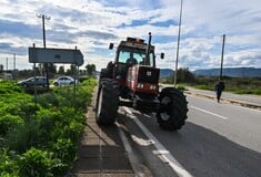 ΑΓΡΟΤΕΣ ΜΠΛΟΚΑ ΓΡΑΦΕΙΟ ΤΣΙΑΡΑ ΚΑΡΔΙΤΣΑ