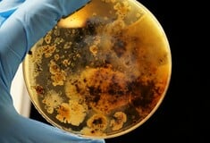 Ευρώπη: Σε άνοδο τροφικές δηλητηριάσεις που συνδέονται με εξαιρετικά ανθεκτικό βακτήριο