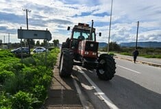 ΑΓΡΟΤΕΣ ΜΥΤΙΛΗΝΗ ΚΑΡΔΙΤΣΑ