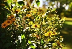 ΚΑΙΡΟΣ ΣΑΒΒΑΤΟΚΥΡΙΑΚΟ