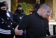 ΦΟΙΝΙΚΟΥΝΤΑ ΔΟΛΟΦΟΝΙΑ ΚΑΜΠΙΝΓΚ