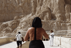 Μέσα από τους ελαιώνες. Ένα πολυποστ του Στάθη Τσαγκαρουσιάνου