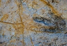 Ιταλία: Χιλιάδες αποτυπώματα δεινοσαύρων εντοπίστηκαν σε εθνικό πάρκο