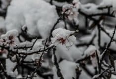 ΚΑΙΡΟΣ ΧΡΙΣΤΟΥΓΕΝΝΑ ΠΡΩΤΟΧΡΟΝΙΑ ΚΑΚΟΚΑΙΡΙΑ ΧΙΟΝΙΑ