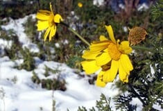 Καιρός: Κρύο και παγετός κατά τόπους - Πού καταγράφονται οι χαμηλότερες θερμοκρασίες