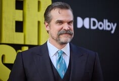 ΝΤΕΙΒΙΝΤ ΧΑΡΜΠΟΡ STRANGER THINGS