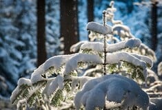 ΓΙΩΡΓΟΣ ΤΣΑΤΡΑΦΥΛΛΙΑΣ ΚΑΙΡΟΣ