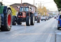 ΑΓΡΟΤΕΣ ΜΠΛΟΚΑ ΤΕΜΠΗ ΣΗΡΑΓΓΕΣ