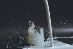 ΚΙΝΑ ΔΑΣΜΟΙ ΕΕ ΓΑΛΑΚΤΟΚΟΜΙΚΑ ΠΡΟΪΟΝΤΑ