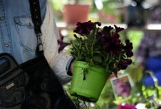 Λαϊκές αγορές: Το εορταστικό ωράριο