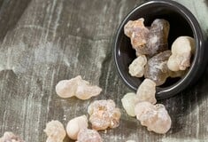 ΛΙΒΑΝΙ ΚΙΝΔΥΝΟΣ ΕΞΑΦΑΝΙΣΗ