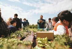 Motor Oil: Η ενέργεια που γίνεται προσφορά