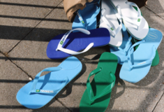 ΜΠΟΛΣΟΝΑΡΟΥ ΥΠΟΣΤΗΡΙΚΤΕΣ ΒΡΑΖΙΛΙΑ