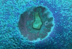 Επιστήμονες έφτιαξαν αντίγραφο του ενδομητρίου και εμφύτευσαν έμβρυα σε πρώιμο στάδιο