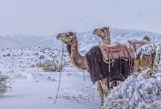 Σαουδική Αραβία: 