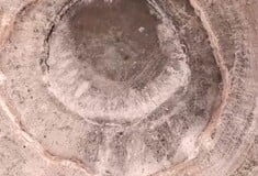 ΤΟΥΡΚΙΑ ΤΡΥΠΕΣ ΑΓΡΟΤΕΣ