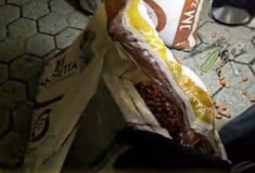 ΚΟΚΑΙΝΗ ΦΙΣΤΙΚΙΑ ΙΤΑΛΙΑ