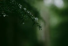 ΚΑΙΡΟΣ ΚΑΚΟΚΑΙΡΙΑ ΕΚΤΑΚΤΟ ΕΜΥ