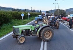 ΑΓΡΟΤΕΣ ΜΠΛΟΚΑ ΓΙΟΡΤΕΣ ΚΛΙΜΑΚΩΣΗ