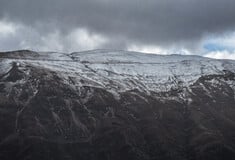 ΦΩΚΙΔΑ ΟΡΕΙΒΑΤΕΣ ΕΞΑΦΑΝΙΣΗ